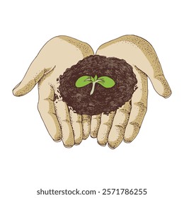 Seedling in hands vector illustration