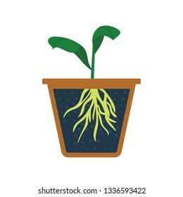 Seedling icon. Flat color design. Vector illustration.
