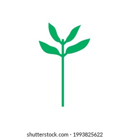 Seedling icon. Green growing tree on white