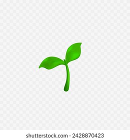 Seedling icon. Green plant. Cute little realistic green leaf. Vector