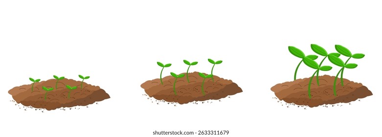 Seedling icon. Plant growth. Sprout from the ground.