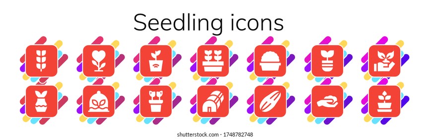 seedling icon set. 14 filled seedling icons.  Simple modern icons such as: Growing plant, Plant, Plants, Greenhouse, Seed, Gardening, Planting