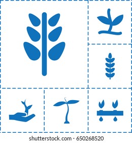Seedling icon. set of 6 seedling filled icons such as plant