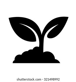 Seedling icon vector