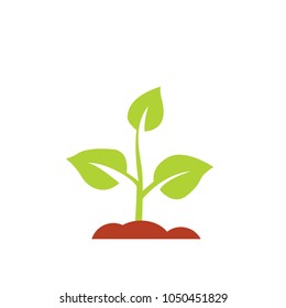 Seedling icon vector, growing tree, green agriculture