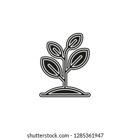 Seedling icon vector, growing tree, green agriculture