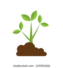 Seedling icon vector illustration in flat style