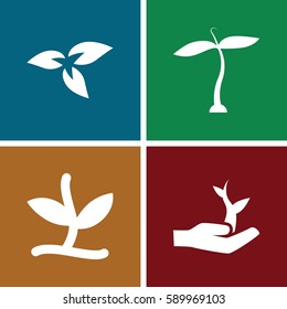 seedling icons set. Set of 4 seedling filled icons such as plant