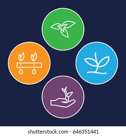 Seedling icons set. set of 4 seedling outline icons such as plant