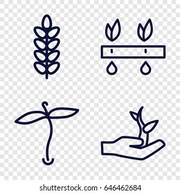 Seedling icons set. set of 4 seedling outline icons such as plant