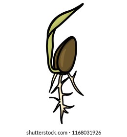 Seedling Illustration Isolated Vector