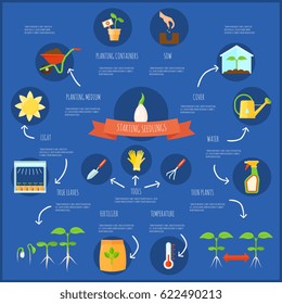 Conjunto de infografía de plántulas con símbolos de riego y temperatura Ilustración vectorial plana