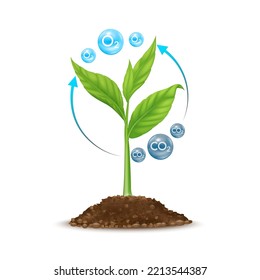 Seedling with leaf green grows from seed in soil. Tree photosynthesis process absorbs carbon dioxide CO2 greenhouse gas and produces oxygen O2 molecules. Save nature environment ecology. Vector.