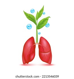 Seedling with leaf green grows from seed on lung red and oxygen O2 blue natural gas. Save nature environment ecology. Medical health care concepts. Icon 3d on white background. Vector EPS10.
