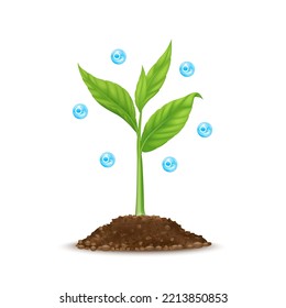 Seedling with leaf green grows from seed and oxygen O2 blue natural gas. World environment day and earth day concept. Nature leave, tree and oxygen 3d symbol on white background. Vector EPS10.