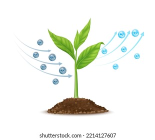 Seedling with leaf green grows from seed in soil. Tree photosynthesis process absorbs carbon dioxide CO2 greenhouse gas and produces oxygen O2 molecules. Save nature environment ecology. Vector.