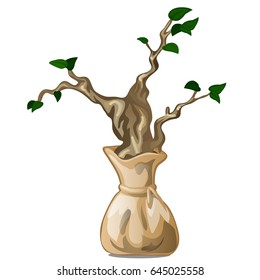 A seedling of the old tree in the bag isolated on white background. Transplantation of old trees and the nature conservancy. Vector cartoon close-up illustration.