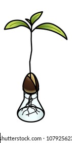 A seedling on a laboratory flask.