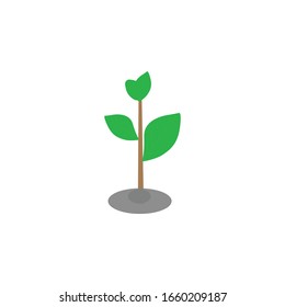 Seedling on white background , Vector illustration.