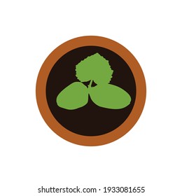 Seedling on a white background. Vector illustration on white isolated background.