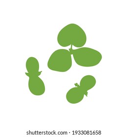Seedling on a white background. Vector illustration on white isolated background.