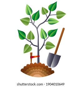 The seedling plant is growing. Vector illustration