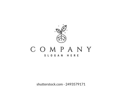 seedling plant with natural water drops in line art design logo concept