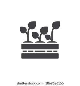 Seedling plants in box vector icon. filled flat sign for mobile concept and web design. Growing plant in crate glyph icon. Symbol, logo illustration. Vector graphics