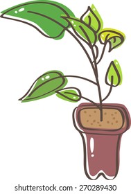 Seedling in pot