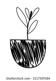 A seedling in a pot. Vector illustration. Hand-drawn in doodle style