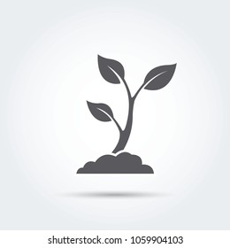 Seedling, process, seed icon silhouette Vector illustration