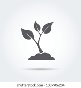 Seedling, process, seed icon silhouette Vector illustration
