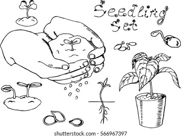 Seedling set Doodle