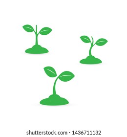 Seedling, Small Growing Plant - Design Set
