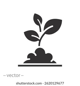 seedling in the soil, growth plant icon, outline flower leaf, nature, environment, flat vector illustration