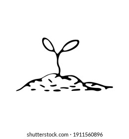 Seedling in soil icon. Black outline linear sketch drawing. Vector flat graphic hand drawn illustration. The isolated object on a white background. Isolate.