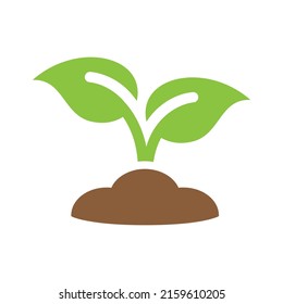 Seedling with soil vector icon. Young plant or sprout in green.