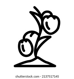 seedling tomato line icon vector. seedling tomato sign. isolated contour symbol black illustration