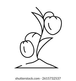 seedling tomato line icon vector. seedling tomato sign. isolated contour symbol black illustration