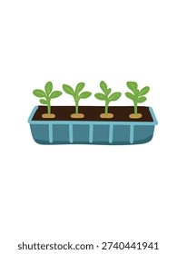 seedling trays with young plants vector illustration
