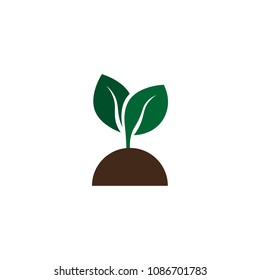 seedling vector icon