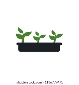 seedling vector icon