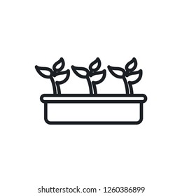 seedling vector icon