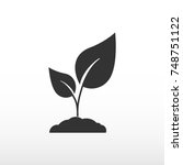 Seedling vector silhouette