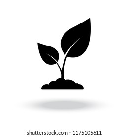 Seedling vector silhouette