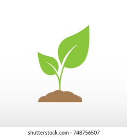 Seedling vector silhouette