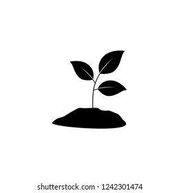 Seedling vector silhouette icon vector