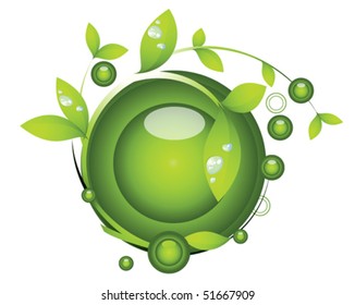 seedling and water drop