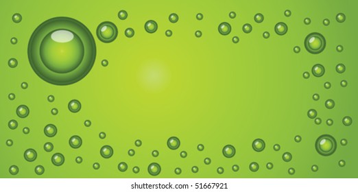 seedling and water drop