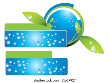 seedling and water drop